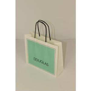 Paper bag with twisted paper handle