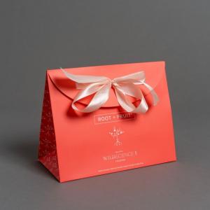 Paper bag with ribbon bow