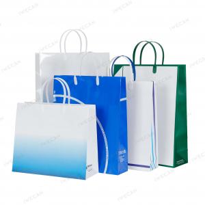 Plastic handle paper bag